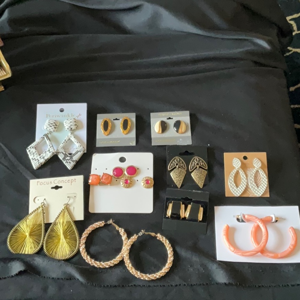 SilverFox Earring Jewelry,  10 Pairs of Earrings, 10 Pairs $21